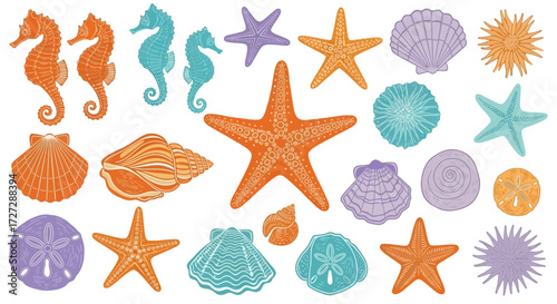 An assortment of colorful sea life illustrations including starfish, seahorses, seashells, and sand dollars arranged on a white background.