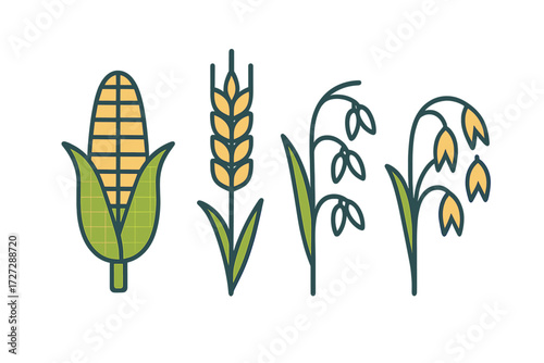 Different types of crops displayed in colorful illustrations depicting corn and grains