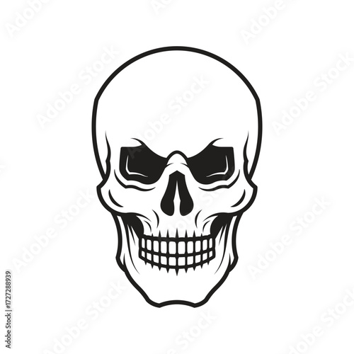 Detailed Human Skull Front View Outline
