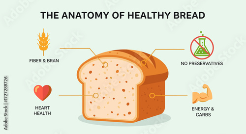 Anatomy of healthy bread with nutritional benefits illustrated  