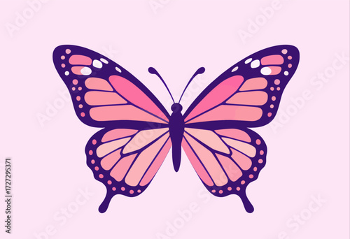 Pink Butterfly on Lavender Background