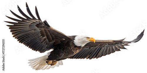 Bald Eagle PNG – Realistic Flying American Eagle on Transparent Background