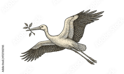 Graceful stork carrying twig illustration for nature and wildlife design