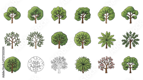 Top View Tree Vector Icons – Set of Illustrations for Landscape Design Plans AI EPS PNG JPEG
