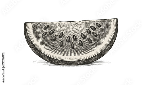 Vintage watermelon engraving illustration for retro design and art projects