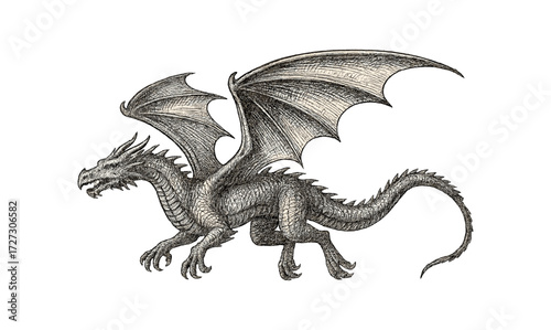 Vintage dragon illustration with detailed wings and scales for fantasy design