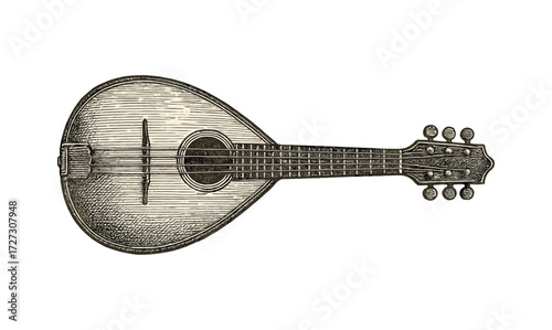Vintage mandolin engraving illustrating musical instrument design for print and art projects