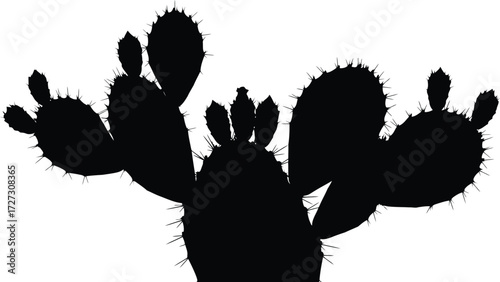 Prickly pear cactus silhouette desert plant graphic vector