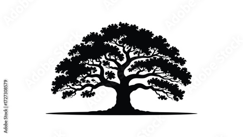 Silhouette of a large ancient oak tree with sprawling branches against a white background