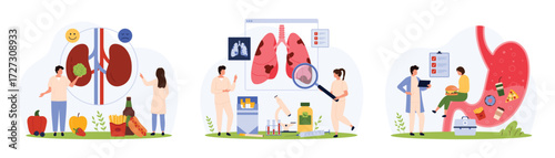 Diagnosis of chronic diseases of internal organs by doctors set. Tiny people check kidneys of patient for stones, study inflammation in lungs and human stomach problem cartoon vector illustration