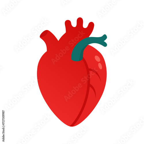 Human heart vector illustration scalable medical organ icon eps format Vector