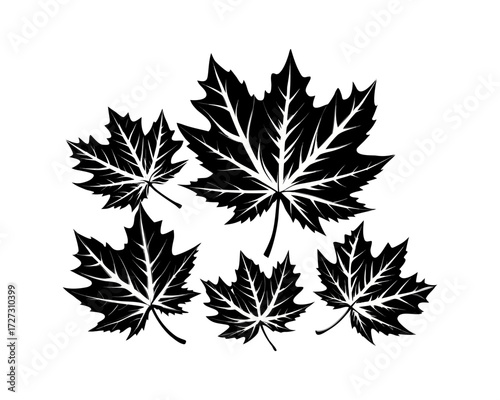 Abstract organic vector illustration of white fern leaves scalable graphic Vector