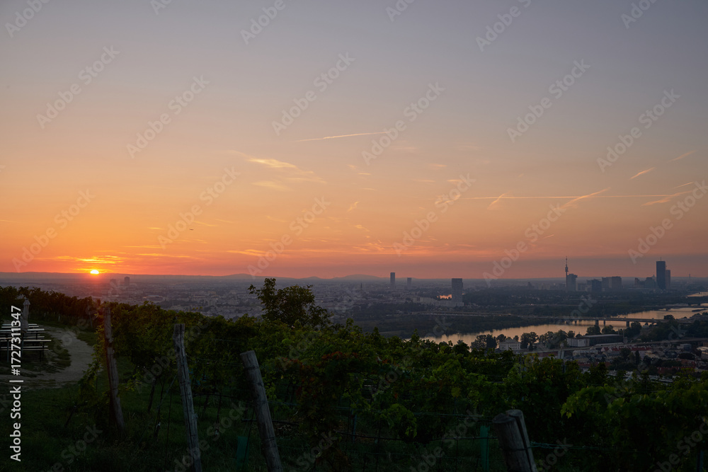 Fototapeta premium Elegant panorama of vineyards above Vienna at dawn. Sun barely rises on the horizon, casting pink, lavender, and orange hues across the sky. Serene and atmospheric morning view.