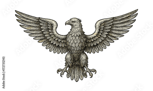 Ornamental eagle etching design - intricate bird illustration for artistic and decorative use