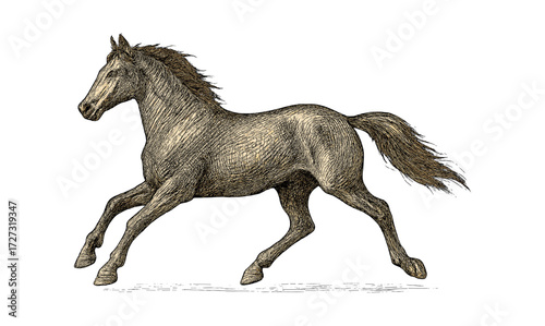 Galloping horse illustration on gold background for art and design projects