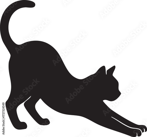 Cat stretching