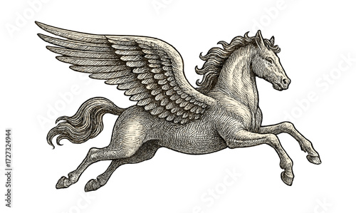Vintage pegasus engraving with classical wings for timeless art and design