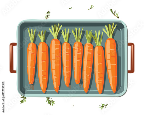 Seven fresh whole carrots arranged neatly in a dark enameled baking dish, ready for seasoning and cooking - Vector Illustration	