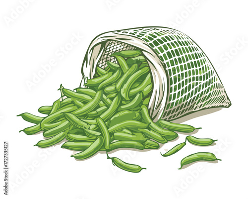 Green beans overflowing from a woven rustic basket, ready for market or home cooking preparation - Vector Illustration