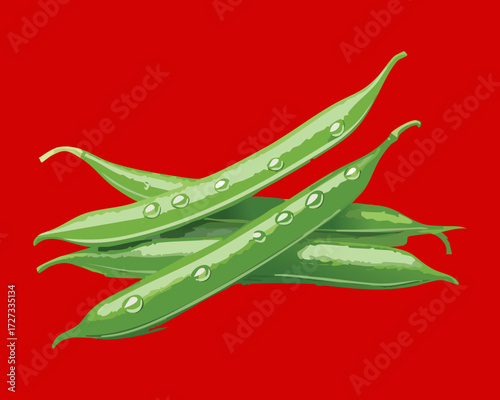 Fresh organic raw green beans with dew drops on a red background for healthy eating - Vector Illustration