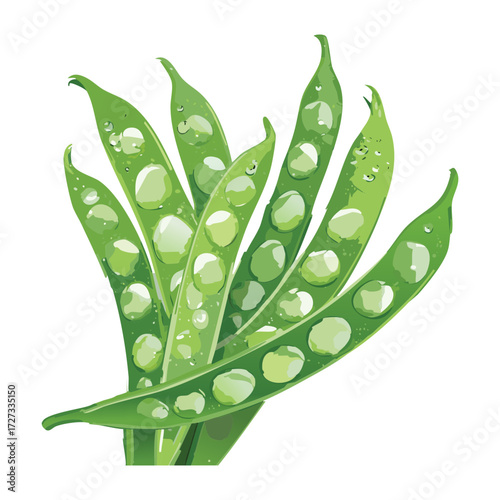 Vibrant green peas in the pod, a beautiful display of fresh garden produce and healthy ingredients - Vector Illustration
