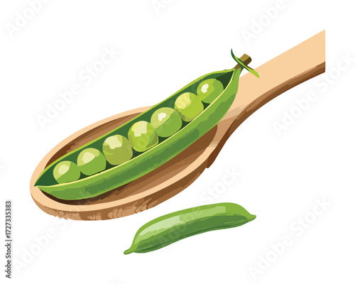 Wooden Spoon Holding Freshly Harvested Green Pea Pods, Ready for Shelling and Cooking - Vector Illustration	