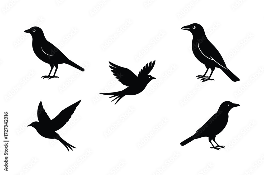 Obraz premium Set of different linocut styles of broad billed roller