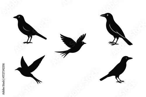 Set of different linocut styles of broad billed roller