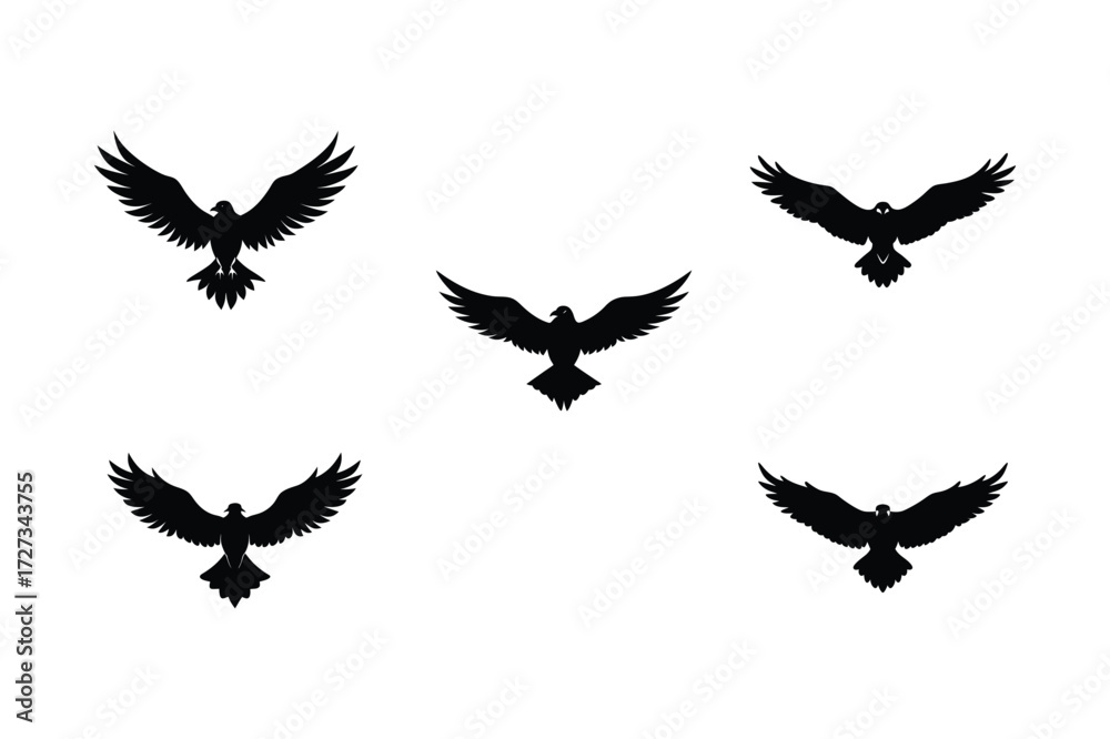 Obraz premium Set of different linocut styles of osprey