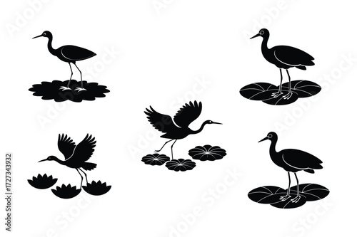 Set of different linocut styles of african jacana