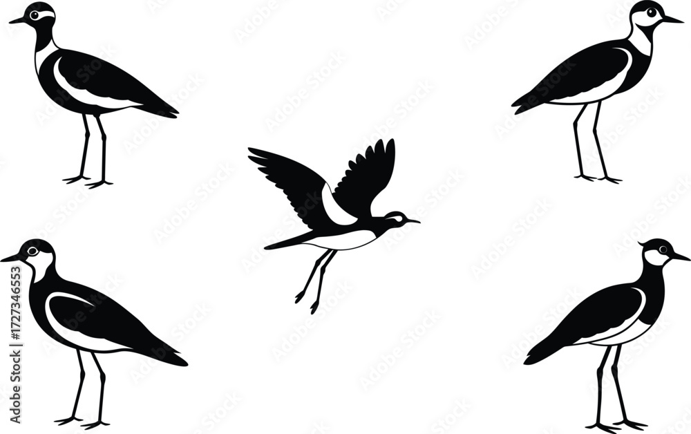 Fototapeta premium Set of different linocut styles of lapwing