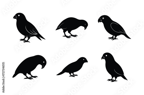 Set of different linocut styles of kakapo
