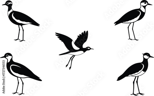 Set of different linocut styles of lapwing