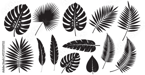 Collection of diverse tropical palm leaf silhouettes with intricate veining patterns isolated on transparent background