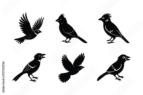 Set of different linocut styles of crested barbet