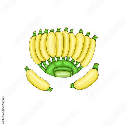 a bunch of ripe pisang awak bananas.