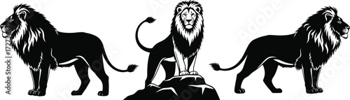 Lion silhouette illustration, black and white wildlife art, majestic animal poses, symmetrical design concept, strength courage leadership symbol, regal nature artwork