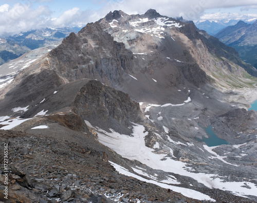 Natural variety found in an Alpine valley. Europe. They were mainly taken in the Gran Paradiso valley, Italy. They were taken during a 7-day hike. From 1800 to 3100 meters altitude. 