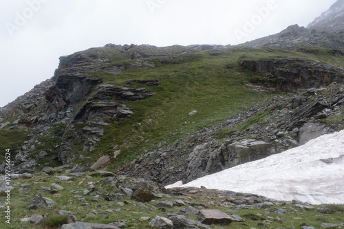 Natural variety found in an Alpine valley. Europe. They were mainly taken in the Gran Paradiso valley, Italy. They were taken during a 7-day hike. From 1800 to 3100 meters altitude. 