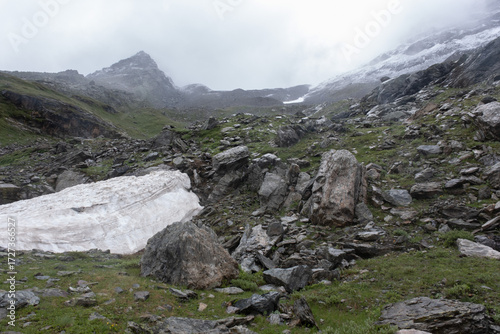 Natural variety found in an Alpine valley. Europe. They were mainly taken in the Gran Paradiso valley, Italy. They were taken during a 7-day hike. From 1800 to 3100 meters altitude. 