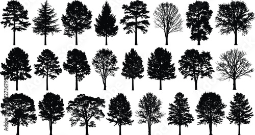 Tree silhouette collection, black and white forest illustration, diverse tree shapes, nature design elements, botanical art, seasonal foliage concept, landscape vegetation icons