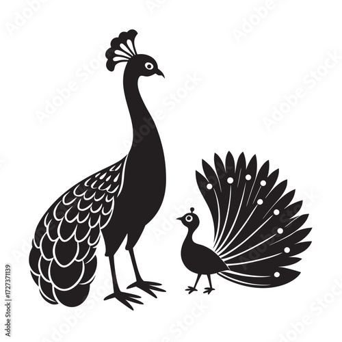 Peacock Feeding Peachick Bird Silhouette Vector
