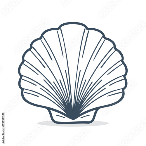Elegant scallop shell illustration outlined against white. Coastal design element