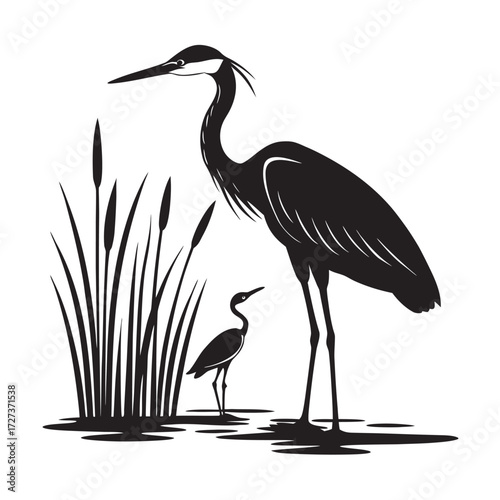 Heron Feeding Young Chick Vector Silhouette