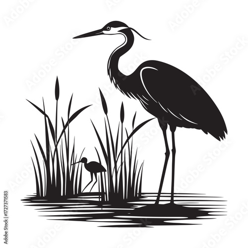 Heron Feeding Chick In Marsh Silhouette