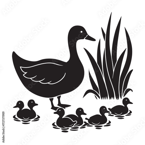 Duck Feeding Ducklings In Riverbank Silhouette