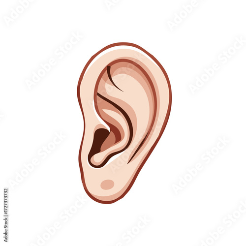 Close-up illustration of a human ear in cartoon style with simplified anatomy