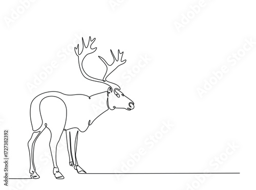 Reindeer in single outline illustration. Continuous line art drawing of wild reindeer. Editable stroke.