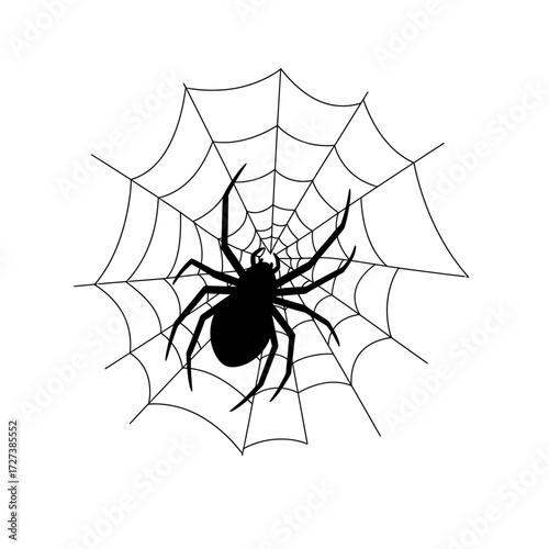 Black spider on a web, isolated on white background.