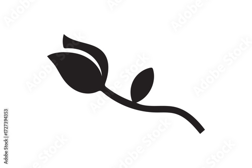 Rose.